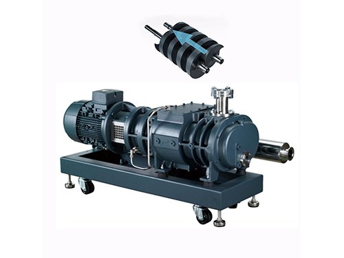 Dry screw vacuum pump
