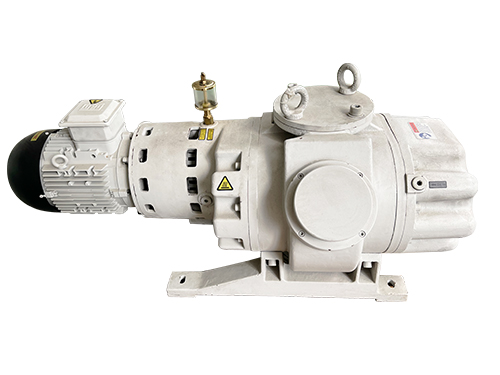 Roots vacuum pump